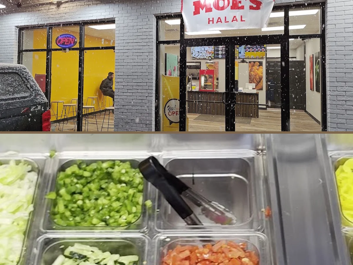 Halal Cart Food in Rochester